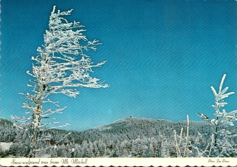 North Carolina Mt Mitchell State Park Snow Sculptured Trees