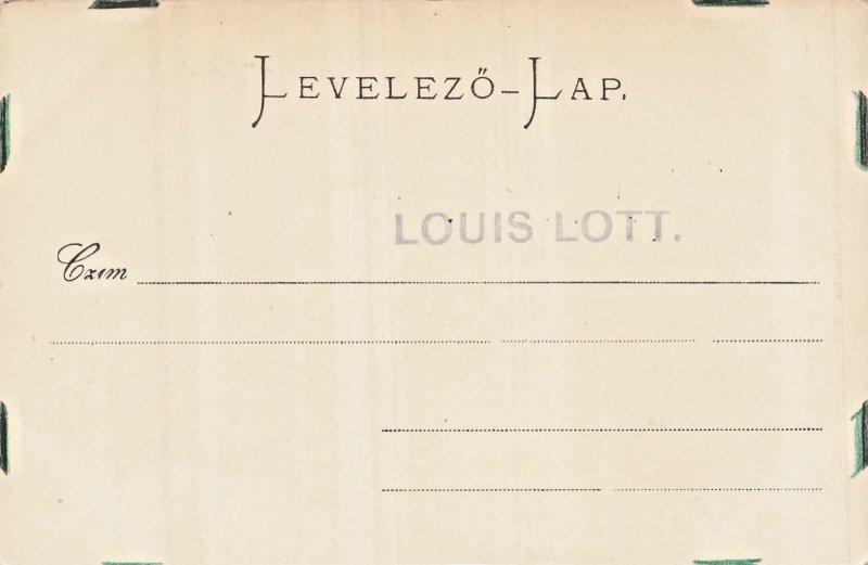 Budapest Hungary~Vajda-Hunyad~1900s Postcard