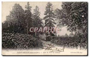 Old Postcard Saint Aignan Alee the chateau park