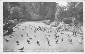 BR61586 feeding the pigeons castle gardens rochester  uk