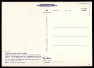 Eagle Country - British Columbia, Canada