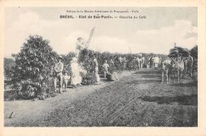 BR94919 Coffee harvest sao paulo  brasil coffe plantation starbucks