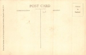 Animals Young Chimpanzees Having Tea vintage postcard