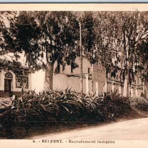 c1910s Belfort, France Indigenous Recruitment Office Eucalyptus Aloe Street A355