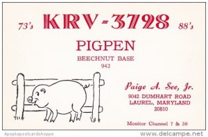 KRV-3728 Pigpen Beechnut Base Paige A See Jr Laurel Maryland