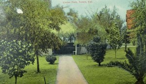 C.1910 Linder Park, Tulare, Calif. Postcard P61