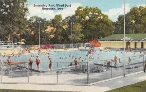 Muscatine, IA Iowa   KIDS~SWIMMING POOL At WEED PARK  ca1950's Curteich Postcard