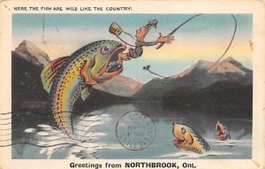 Greetings from Northbrook, Ont. Canada Fishing 1955 