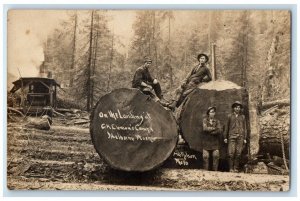 c1905 C.H. Clemon's Logging Camp Loggers Tree Melbourne WA RPPC Photo Postcard