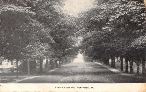 Montrose Pennsylvania Lincoln Avenue Street Scene Vintage Postcard AA50340