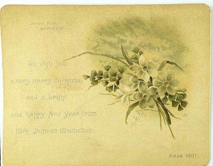 1887 Victorian Christmas & New Year's Card Daffodil Annock Bank Helensburgh &G