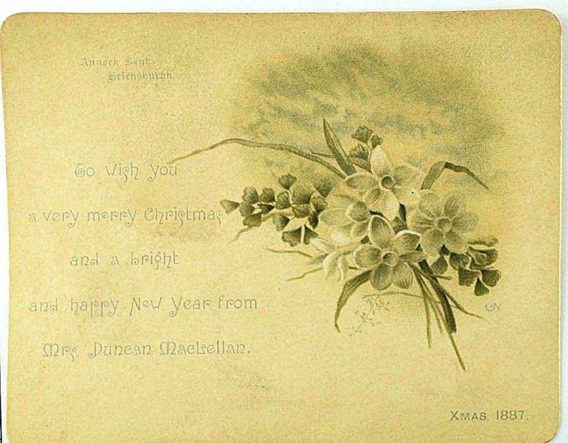 1887 Victorian Christmas & New Year's Card Daffodil Annock Bank Helensburgh &G