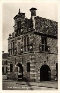 CPA AK APPINGEDAM Oude Raadhuis NETHERLANDS (728352)