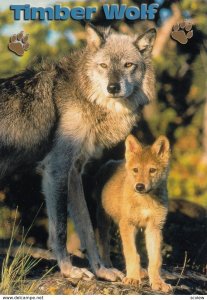 Timberwolf and Pup, 1970-90s