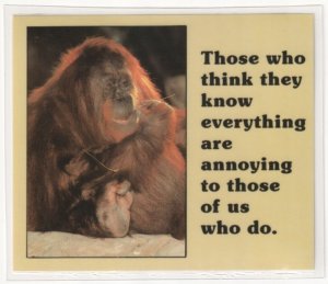 Orangutan, Annoying Know-It-Alls, 1984 Novelty Russ Coaster Postcard