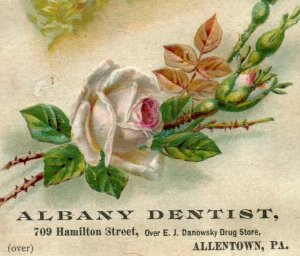 1870's-80's The Albany Dentist Dr. C. L. Hill Secret Preparation Prices 7G