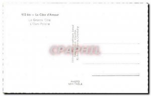 Old Postcard The great dimension L & # 39 polar bear bear