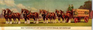 Eight Horse Hitch Anheuser Busch Panorama Folded Gate Fold Postcard