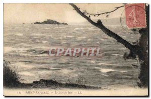 Postcard Old Saint Raphael Sea lion