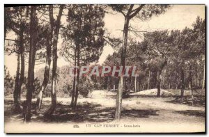 Postcard Old Cap Ferret Sous Bois