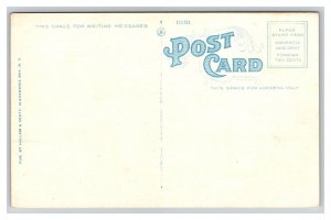Vintage 1920s Postcard Bell Tower Heart Island Thousand Islands New York