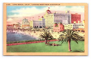 Long Beach Calif. California Looking West From Auditorium Postcard