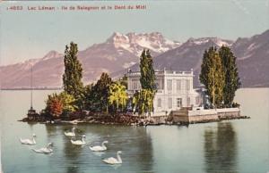 Switzerland Lac Leman Ile de Salagnon et la Dent du Midi