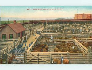 Unused Divided-Back CATTLE & BUILDINGS AT UNION STOCK YARD Portland OR t5496-29