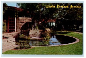 c1960's Luther Burbank Gardens Rock Pool Santa Rosa California CA Postcard 