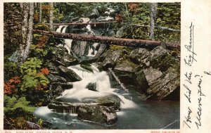 New Hampshire, 1906 Moss Glen Dixville Notch Waterfalls Spot, Vintage Postcard