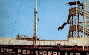 Atlantic City NJ Steel Pier Diving Horse Inhumane Vintage Postcard