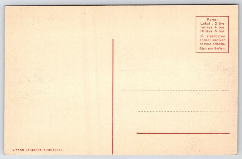 Vadstena Sweden Sverige~Castle-Slott~Observatorium c1908 Postcard Vykort c1910