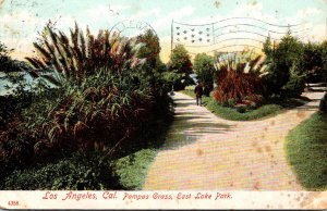 California Los Angeles East Lake Park Pampas Grass 1908