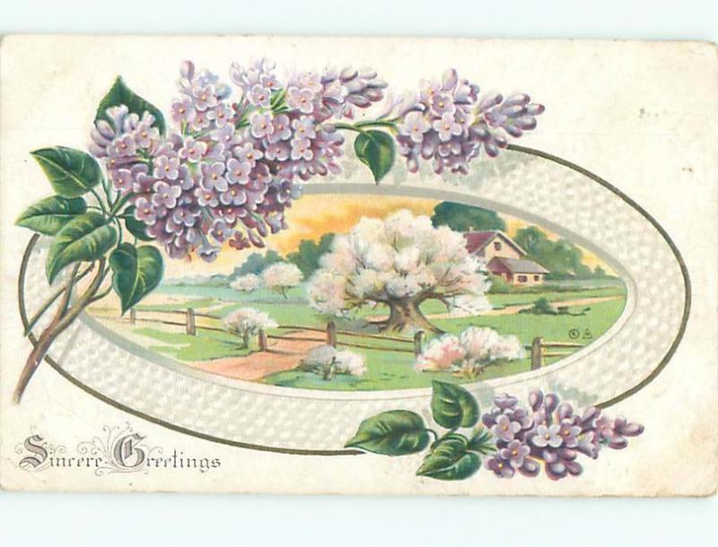 Divided-Back BEAUTIFUL FLOWERS SCENE Great Postcard AA2890