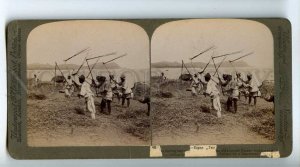 254708 KOREA Fusan Coolies flailing barley OLD STEREO PHOTO