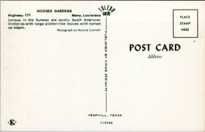 Postcard Louisiana - Hodges Gardens - South American Victorias