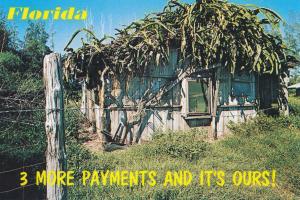 Florida Property - Three More Payments - A Property We Can Afford - Humor