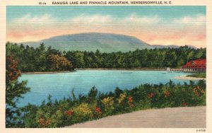 Hendersonville North Carolina, Lake And Pinnacle Mountain Vintage Postcard