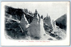 c1910 Banff Alberta AB Canada Postcard Hoodoos Lower Bow Park View Snow Trees