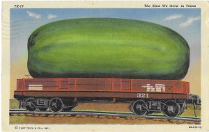 The Kind We Grow in Texas A Big Fruit Watermelon Exaggeration Card