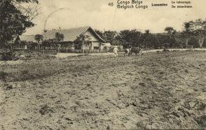 belgian congo, LUSAMBO, Plowing (1922) Postcard (45)