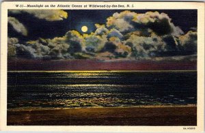 Postcard WATER SCENE Wildwood New Jersey NJ AM6023