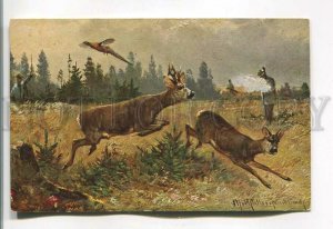 485585 HUNT Deer & Pheasant HUNTER MUSHROOM by MULLER Vintage postcard