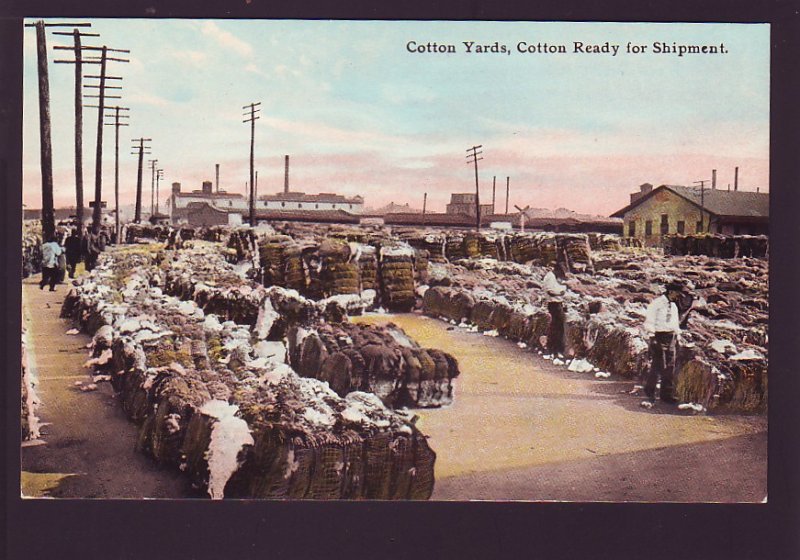 P1584 vintage unused postcard cotton yard, cotton ready for shipment