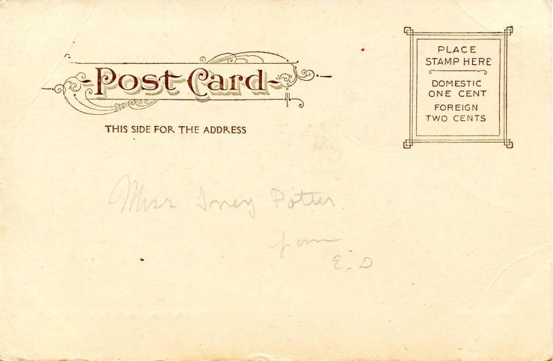 IL - Chicago. Lincoln Park, Lily Beds