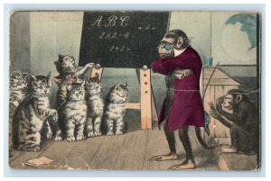 1906 Anthropomorphic Monkey Teaching Cats Math Alphabet Rochester NY Postcard 