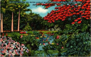 Vtg 1950 Royal Poinciana Royal Palm State Park Homestead Florida FL Postcard