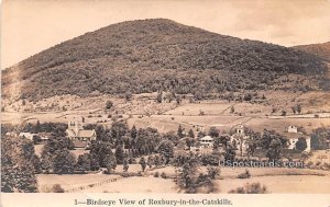 Birds Eye View - Roxbury in the Catskills, New York NY  