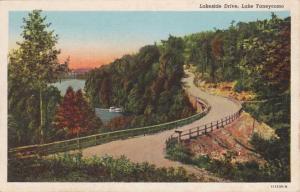 Lakeside Drive - Lake Taneycomo, Missouri MO