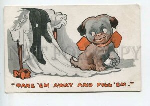 438590 SPURGIN BOW-WOW Smiling FRENCH BULLDOG Puppy Dog Vintage postcard #485